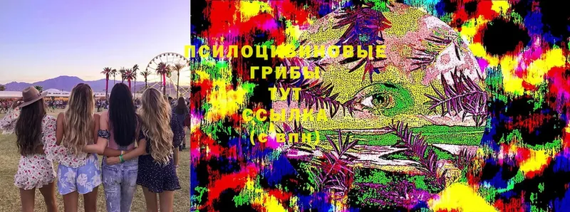 Псилоцибиновые грибы MAGIC MUSHROOMS  Сыктывкар 